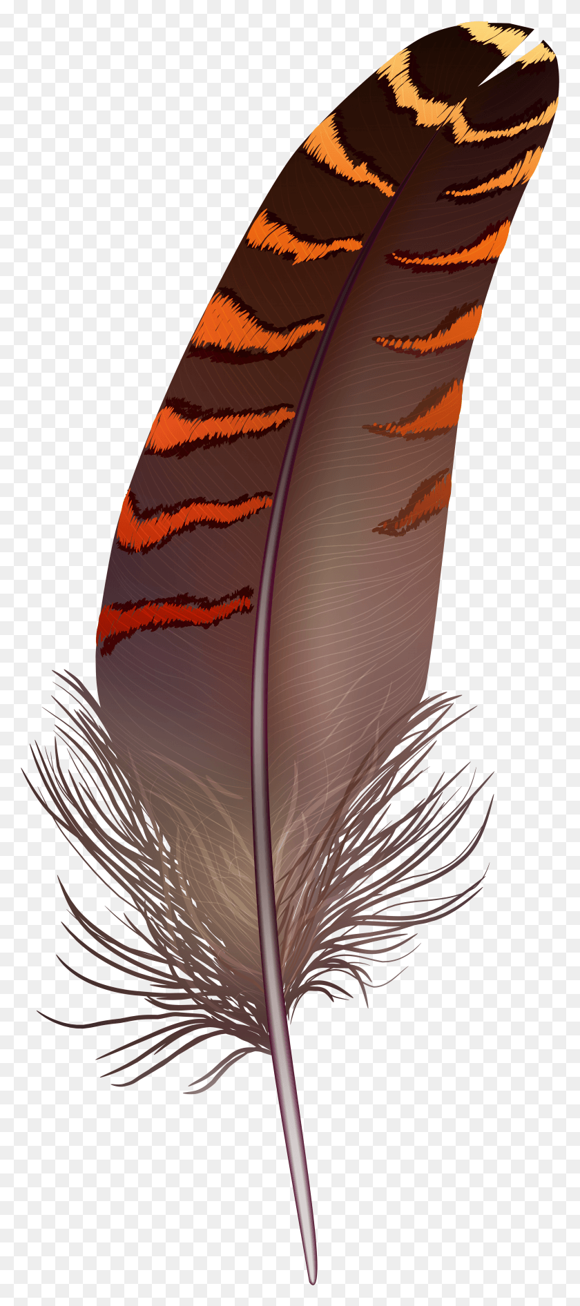 3373x7925 Brown Feather Clip Art Feather HD PNG Download