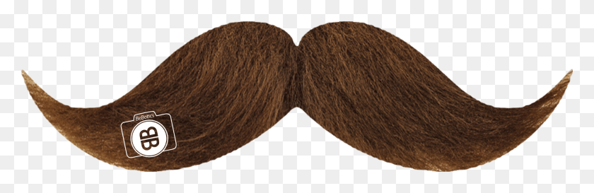 2789x765 Brown Moustache Beard, Mustache, Face, Snake HD PNG Download
