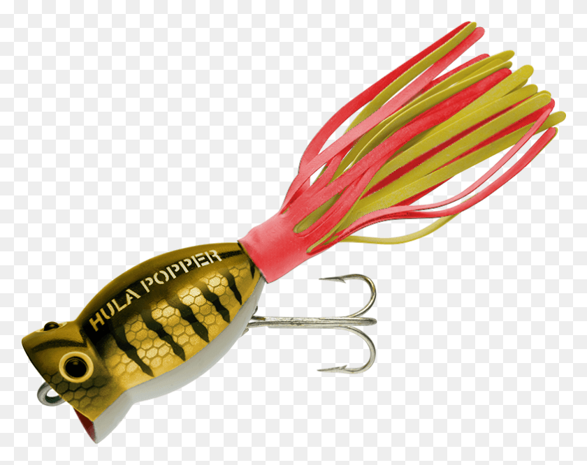 783x609 Brown Parrot Wred Amp Yellow Skirt Fish Hook, Plant, Fishing Lure, Bait HD PNG Download