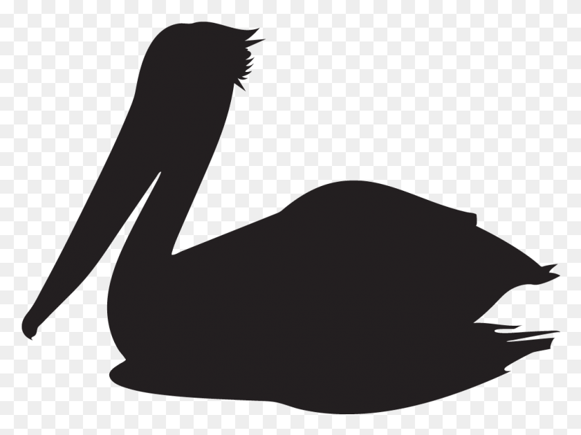1011x738 Brown Pelican Silhouette Of A Pelican, Animal, Bird HD PNG Download