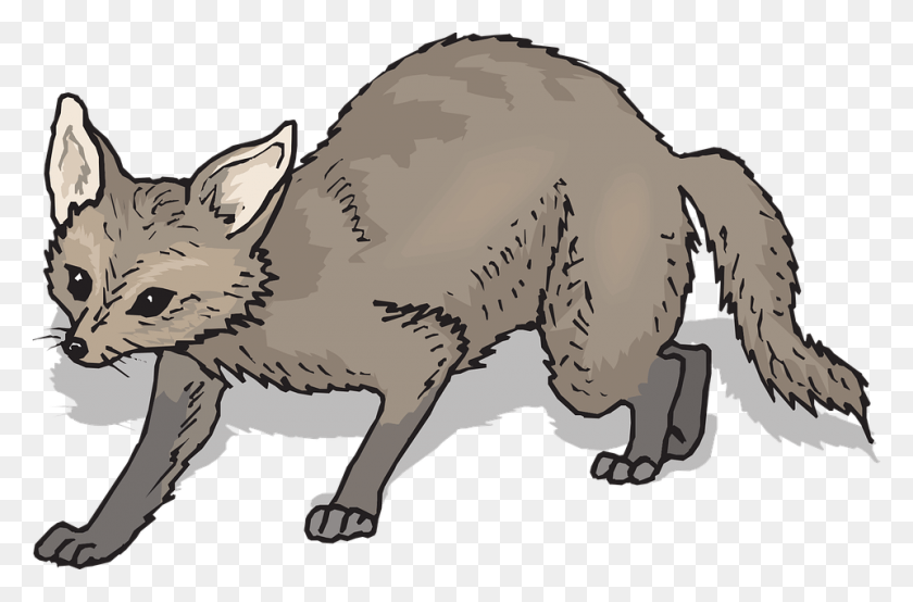 960x609 Brown Shadow Fox Tail Fur Whiskers Prowling Clip Art, Mammal, Animal, Wildlife HD PNG Download