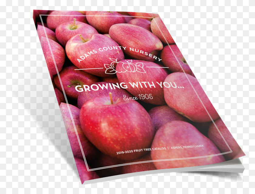 803x598 Browse Our Catalog Pluot, Apple, Fruit, Plant HD PNG Download