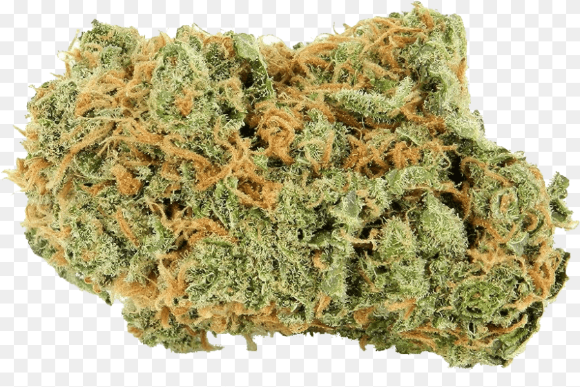 860x574 Bruce Banner Marijuana, Plant, Weed, Grass Clipart PNG