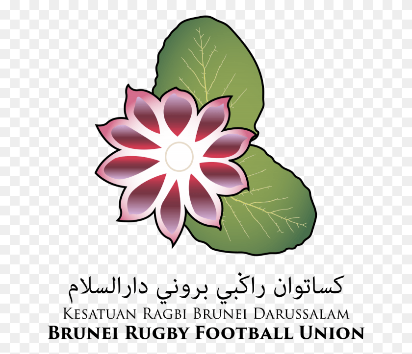 648x663 Descargar Png Brunei Rugby Online Brunei Logo Rugby, Planta, Hoja, Flor Hd Png