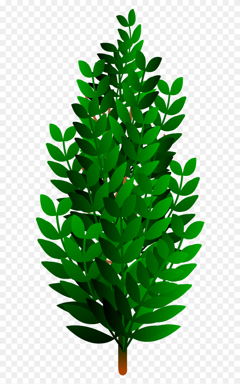 596x1281 Brush Nature, Green, Plant, Leaf HD PNG Download