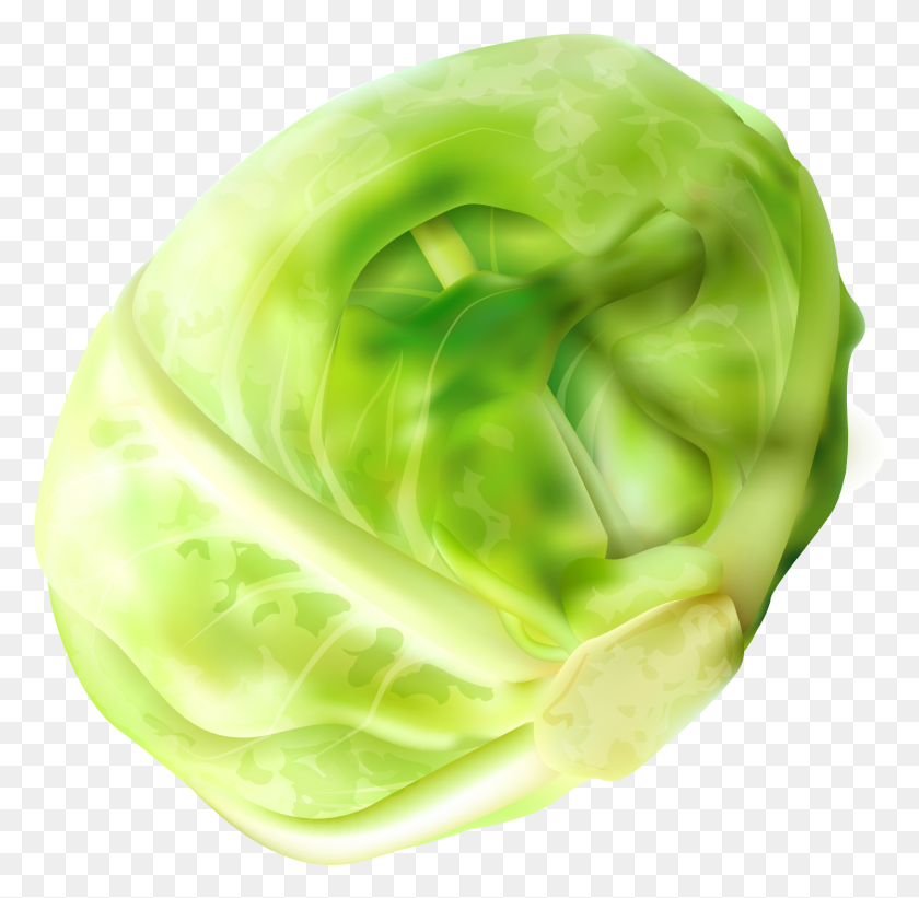 1495x1459 Brussels Sprout, Plant, Vegetable, Food HD PNG Download
