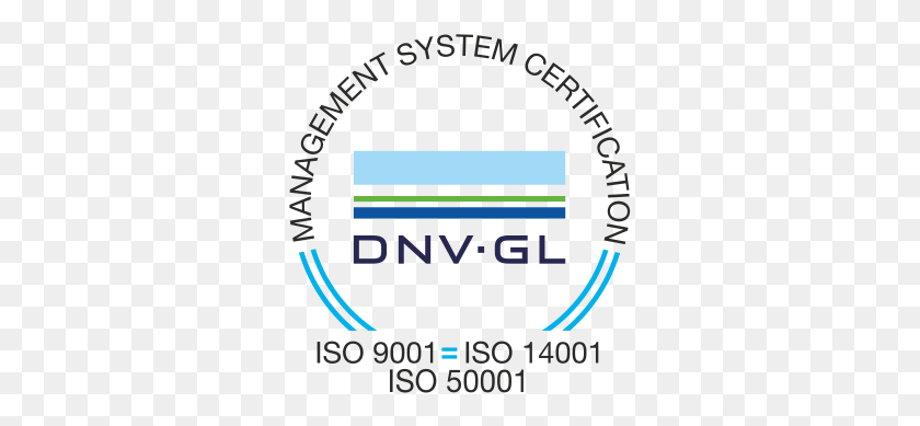313x329 Descargar Png Bsq Obtiene La Certificación Iso 9001 Y Iso 14001 Dnv Gl, Etiqueta, Texto, Logotipo Hd Png