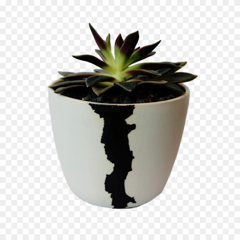 2048x2048 Btw Ceramics Medium White Crater Planter With Plant Hshinteriors, Jar, Potted Plant, Pottery, Vase Sticker PNG