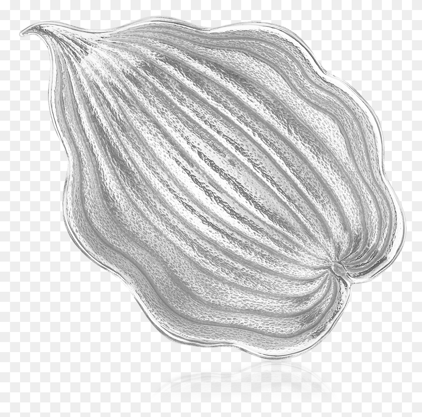 1586x1565 Buccellati Bowls Hosta Bowls Sketch, Clam, Seashell, Invertebrate HD PNG Download