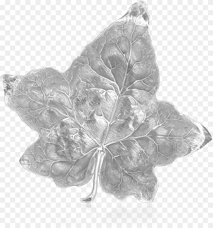 1491x1597 Buccellati Bowls Ivy Bowls Foglia Buccellati, Leaf, Plant, Animal, Reptile Clipart PNG