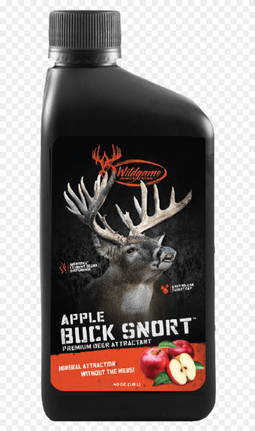 585x1358 Buck, Antler, Deer, Wildlife Descargar Hd Png