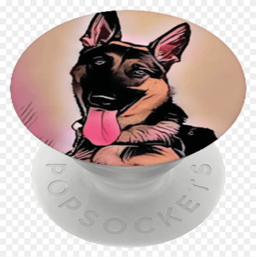 806x808 Buck The Service Dog Old German Shepherd Dog, Pet, Canine, Animal HD PNG Download