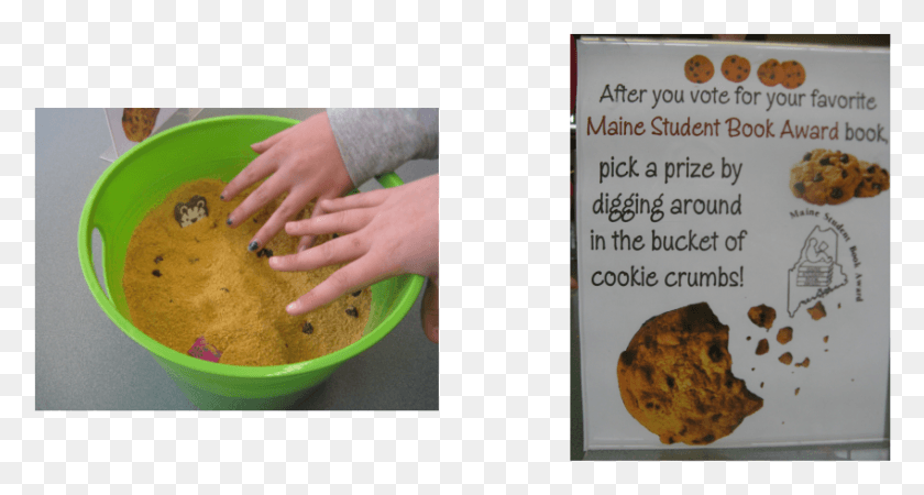 848x424 Bucket Of Cookie Crumbs We Submitted A Total Of Cookie Crumbs, Person, Human, Plant HD PNG Download