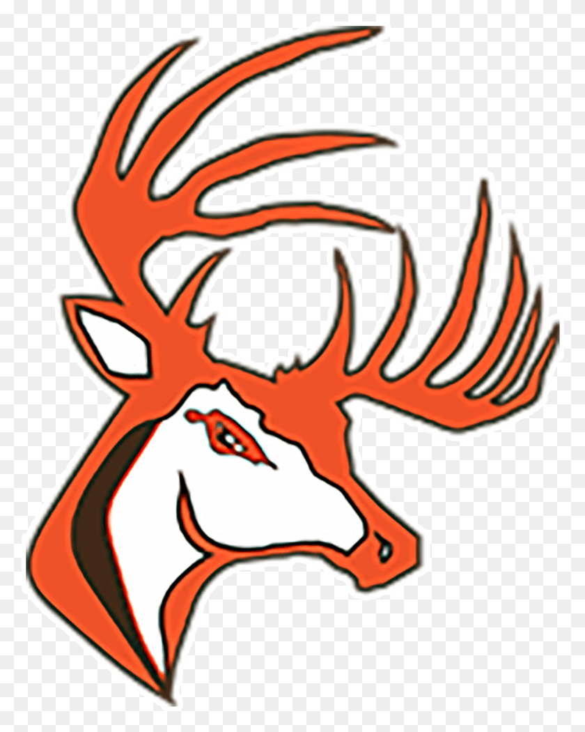 1176x1494 Buckeye Bucks Buckeye Local Schools Logo, Дракон, Животное Png Скачать