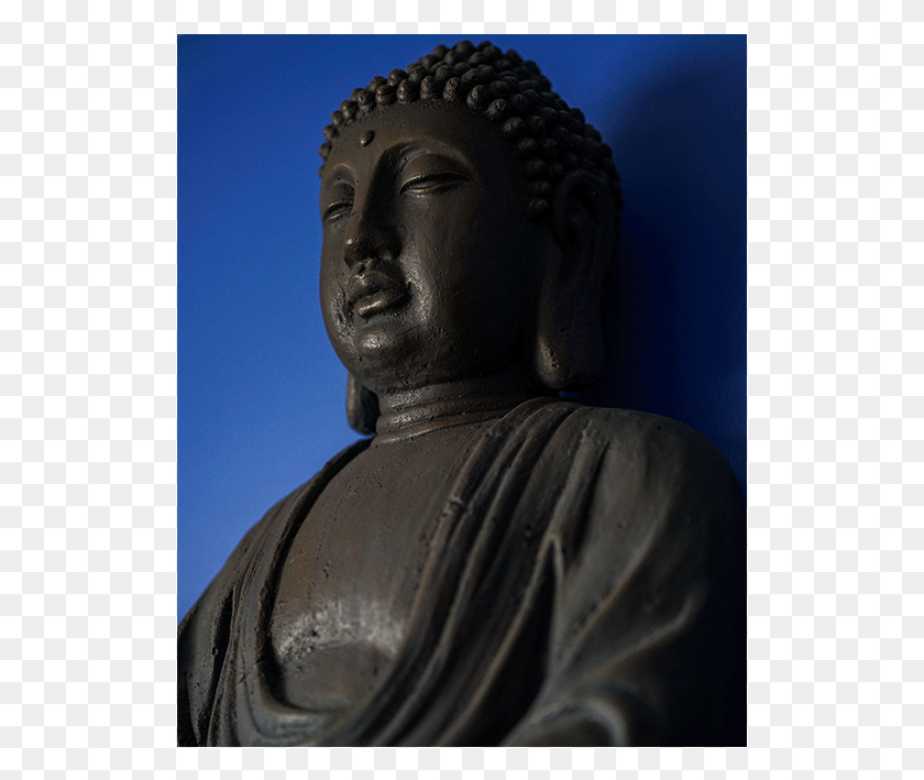 519x649 Buddha Transp Gautama Buddha, Worship, Person HD PNG Download