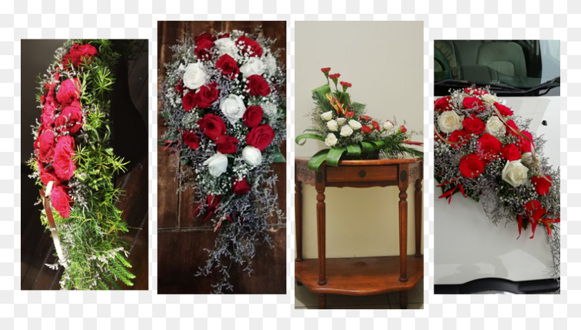 790x424 Budding Love Garden Roses, Plant, Tree, Flower Descargar Hd Png