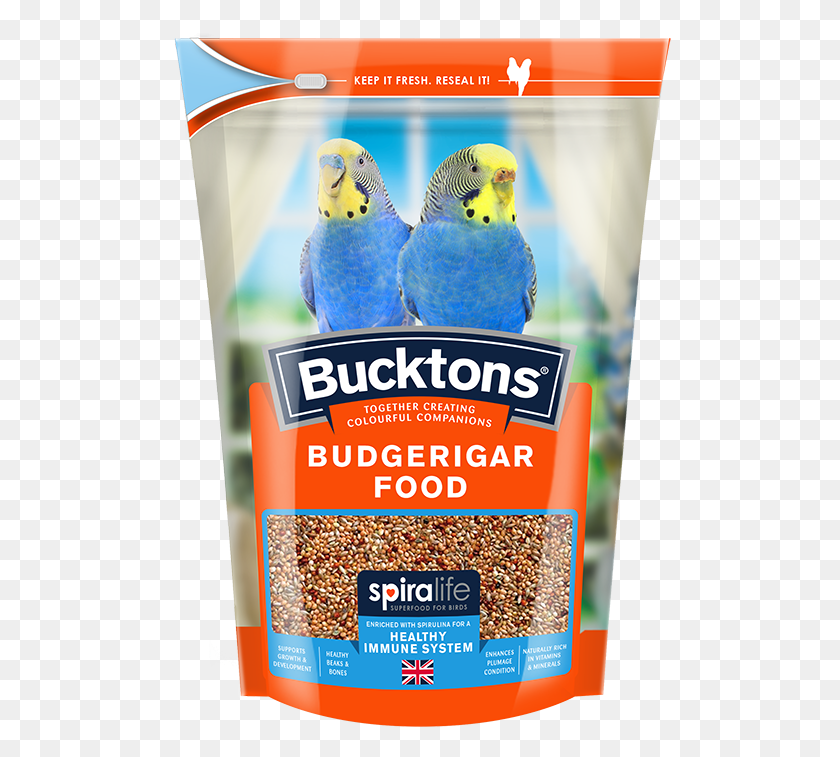 502x697 Budgerigar With Spiralife Westland Horticulture Ltd Bucktons Budgerigar Food, Bird, Animal, Plant HD PNG Download