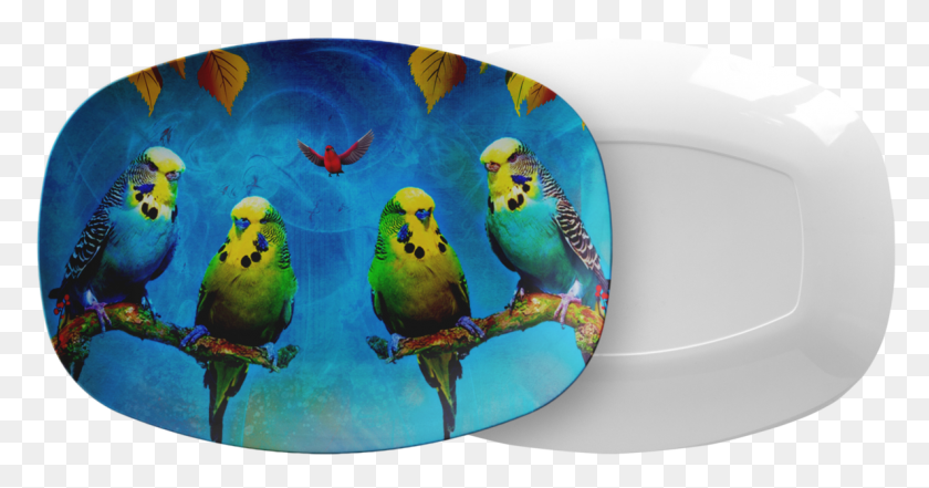 1187x580 Budgie, Bird, Animal, Fish HD PNG Download