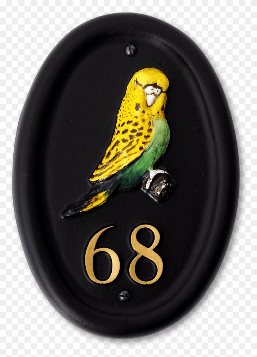 929x1319 Волнистый Попугайчик Волнистый Попугайчик, Птица, Животное, Попугай Hd Png Скачать