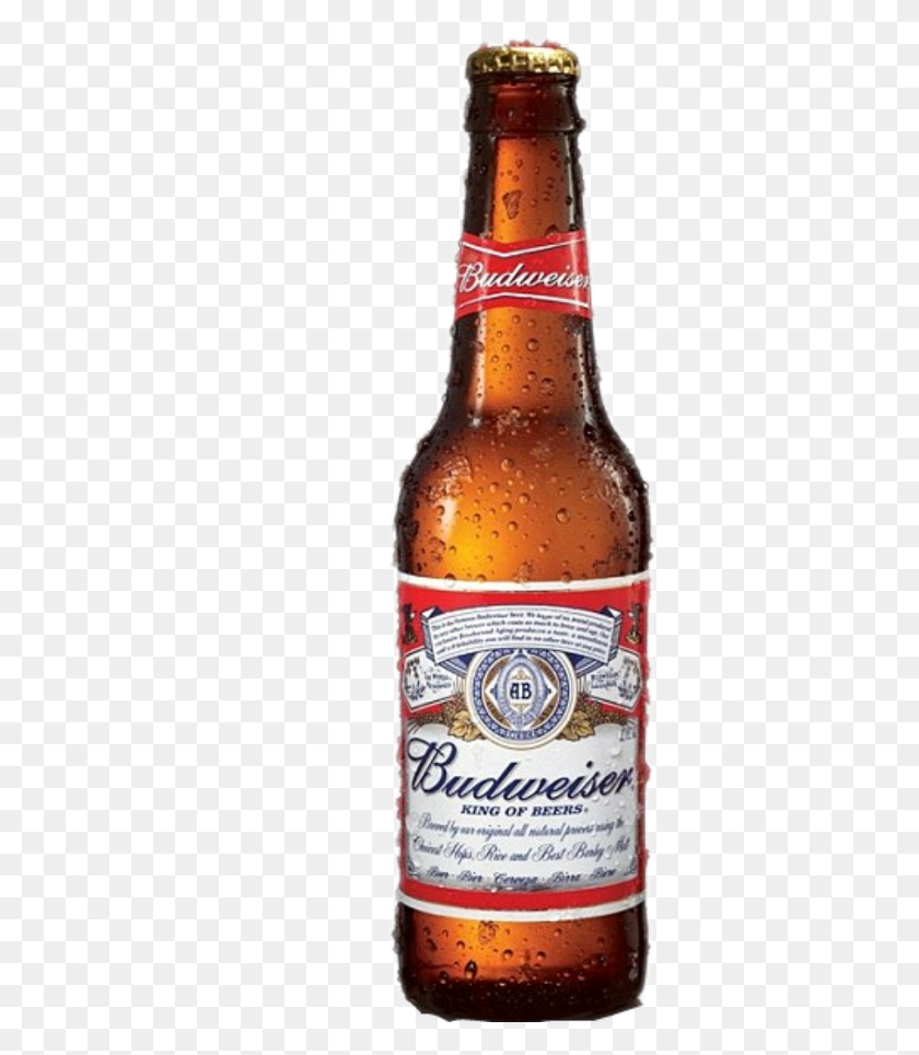 362x904 Budweiser Clipart Budweiser Beer Beer Can And Bottle, Alcohol, Beverage, Drink HD PNG Download