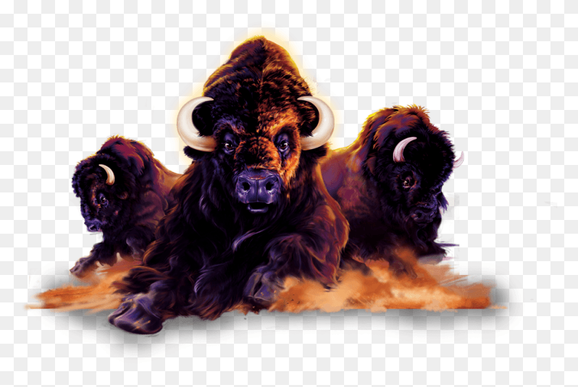 966x624 Buffalo Buffalo Slots, Perro, Mascota, Canino Hd Png