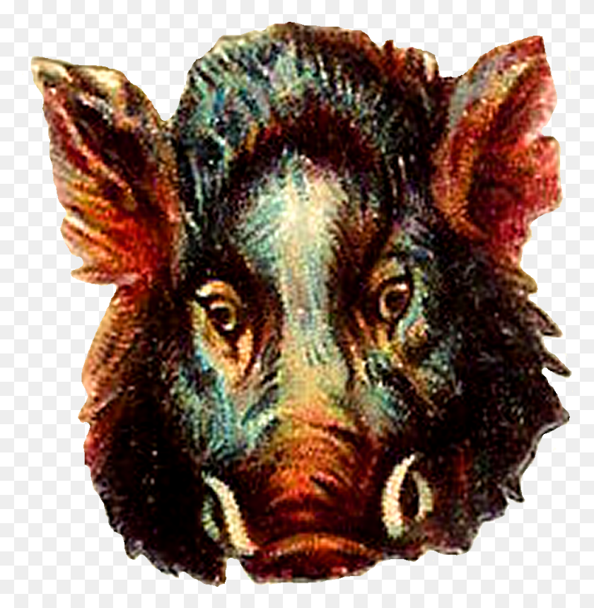 913x937 Buffalo Clipart Wild Boar Digital Art, Pig, Mammal, Animal HD PNG Download
