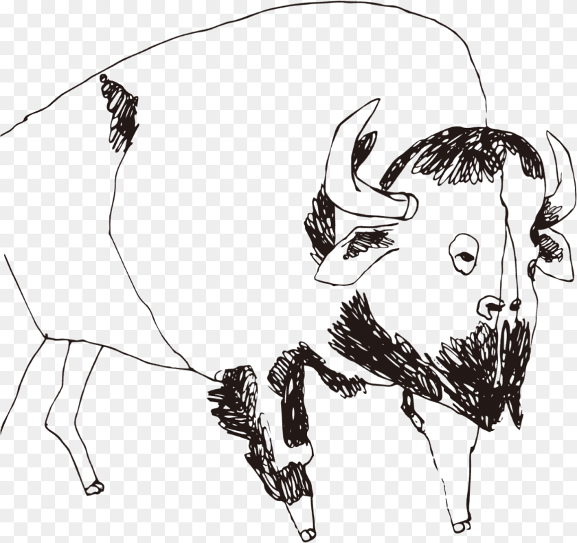 1351x1270 Buffalo Sketch, Animal, Mammal, Wildlife, Bison PNG