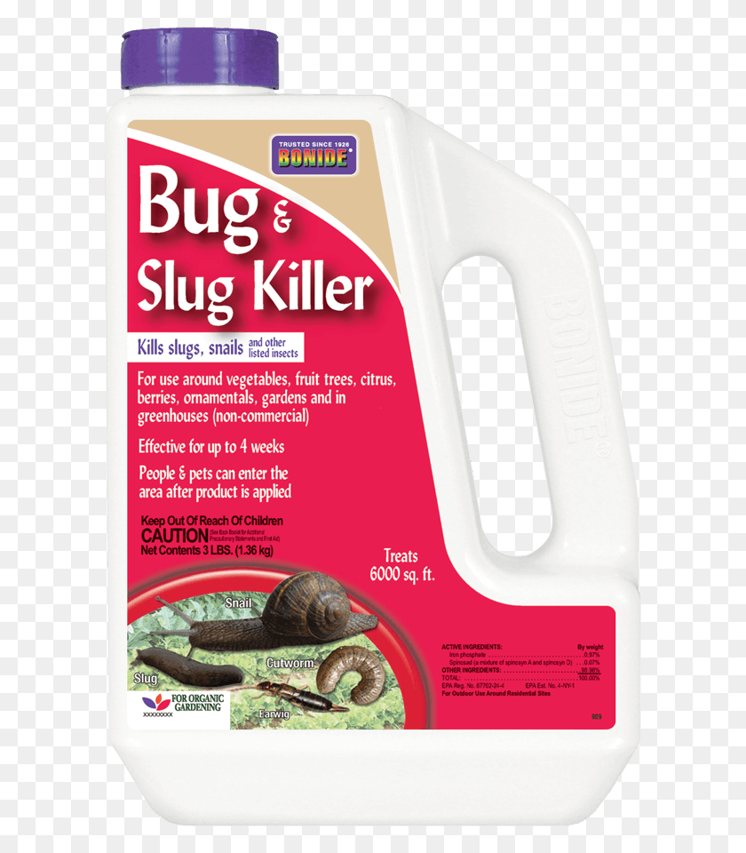 607x900 Bug Amp Slug Killer Reptile, Snake, Animal, Invertebrate HD PNG Download
