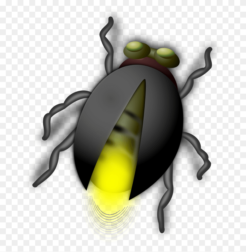 666x801 Bug Clip Art, Insect, Invertebrate, Animal HD PNG Download