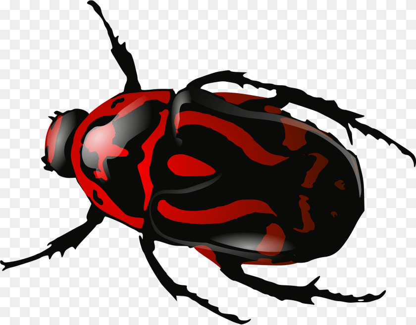 Bug Clipart, Animal, Person Sticker PNG