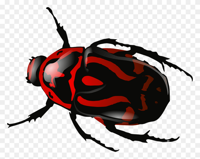 924x720 Escarabajo, Avispa, Abeja, Insecto Hd Png