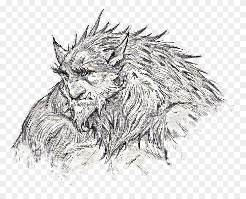 1443x1150 Bugbears, Sketch HD PNG Download