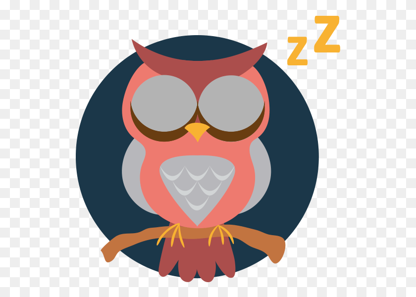 535x540 Buho Owl, Text, Number, Symbol HD PNG Download