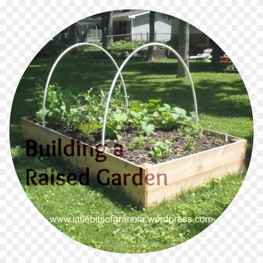 1024x1024 Building Raised Garden Beds Lovely Building A Raised Grass, Tabletop, Furniture, Plant HD PNG Download