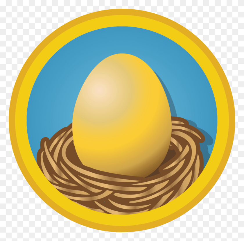1000x987 Building Your Nest Egg Wall Street Survivor Courses Circle, Food, Sphere, Pasta HD PNG Download