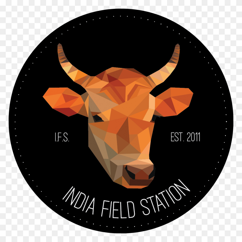 1081x1081 Bull, Mammal, Animal, Cattle HD PNG Download