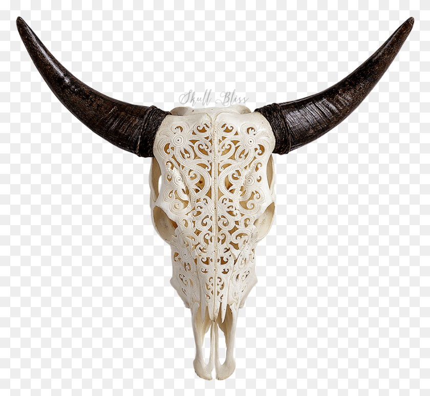878x804 Bull, Longhorn, Cattle, Mammal HD PNG Download