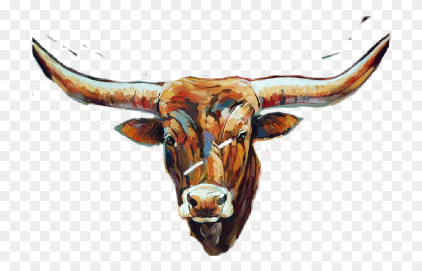 717x479 Bull, Longhorn, Cattle, Mammal HD PNG Download