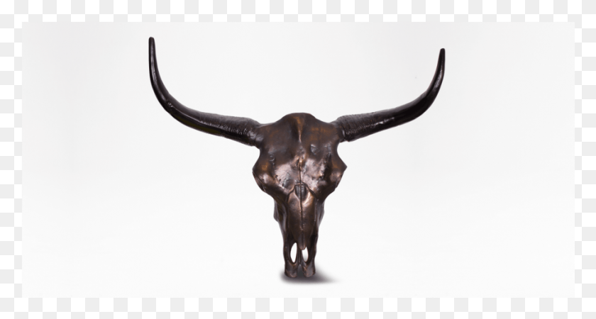 901x451 Bull, Longhorn, Cattle, Mammal HD PNG Download