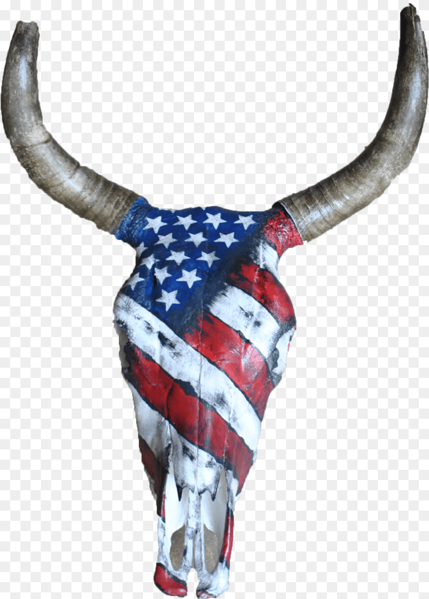 Bull, Animal, Cattle, Livestock, Longhorn PNG