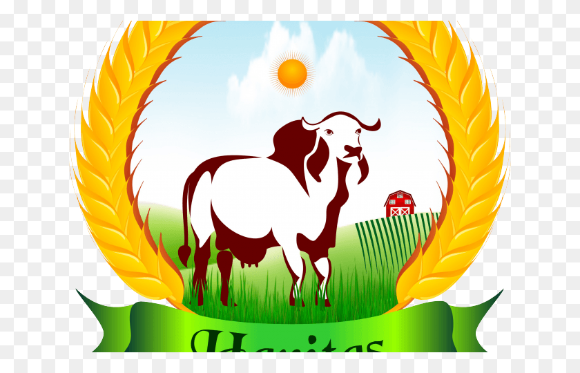 640x480 Bull Clipart Gir Cow Desi Cow Picture Logo, Bird, Animal, Dragon HD PNG Download