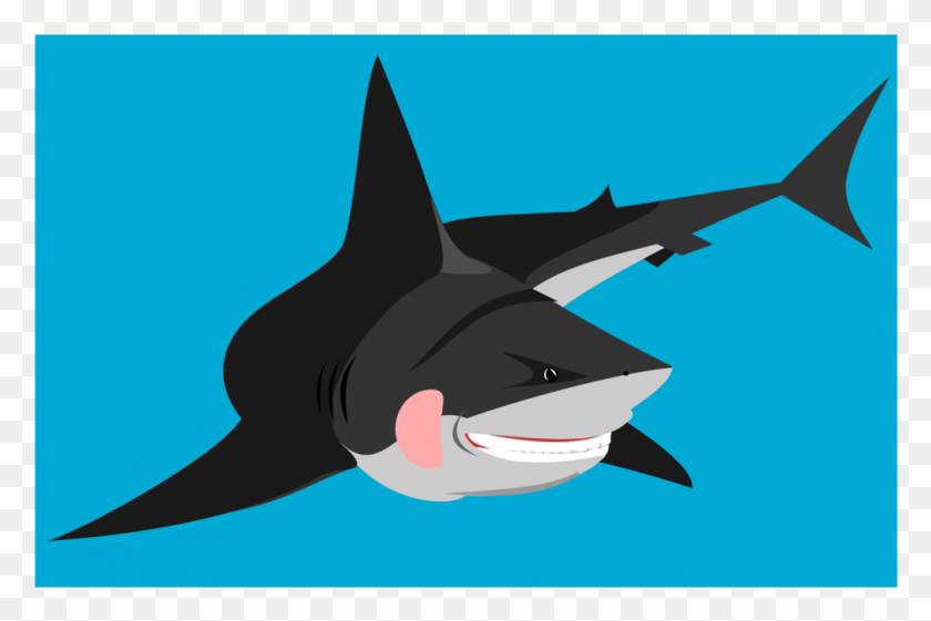 998x642 Бычья Акула Большая Белая Акула Компьютерные Иконки Акула Зуб Акула, Морская Жизнь, Рыба, Животное Png Скачать