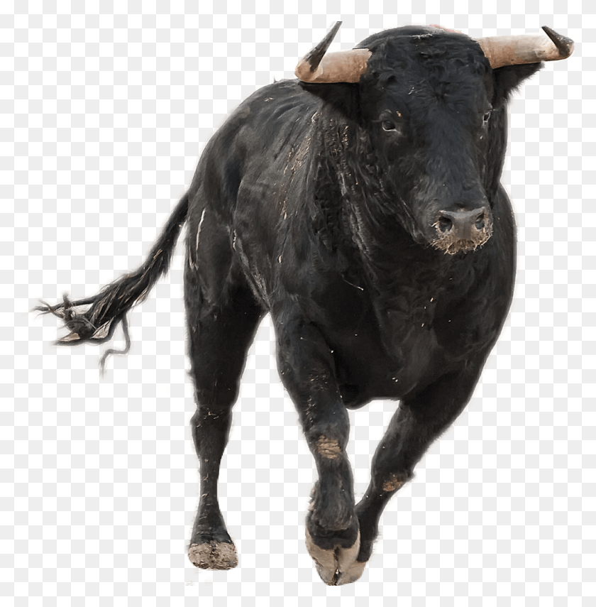 1024x1045 Bull Sticker Bull Ox Photo Editing, Cow, Cattle, Mammal HD PNG Download
