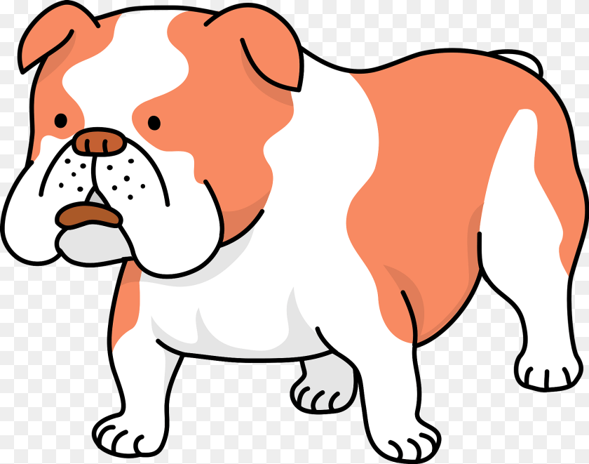 1920x1511 Bulldog Animal, Canine, Dog, Mammal Clipart PNG