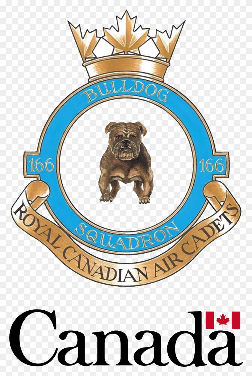 1134x1737 Bulldog Logo Transparent Royal Canadian Air Cadets, Pet, Animal, Dog HD PNG Download