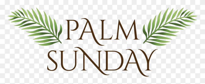 1444x527 Bulletin For Palm Sunday March 25 Poldark, Word, Text, Alphabet HD PNG Download