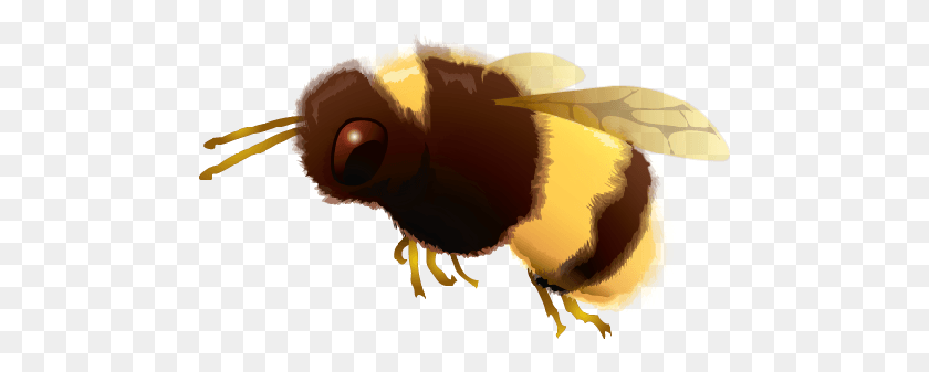 481x277 Bumble Bee, Insect, Invertebrate, Animal HD PNG Download