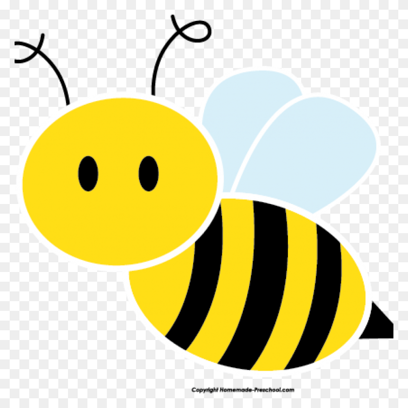 1024x1024 Bumble Bee Clipart Cute Bee Clipart Clipart Panda Free Bee Clipart, Animal, Invertebrate, Insect HD PNG Download