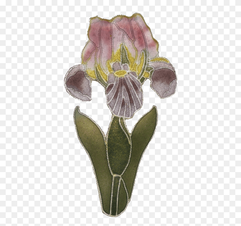 397x728 Шмель Орхидея, Растение, Цветок, Цветение Hd Png Скачать