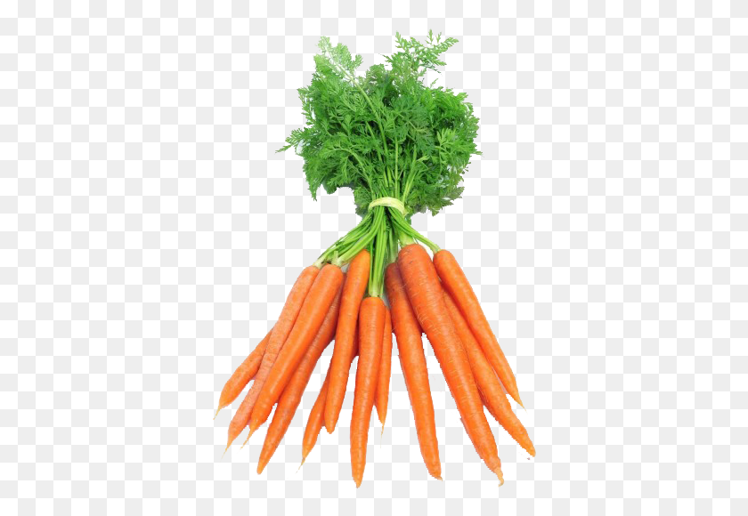 364x520 Bunch Carrots, Plant, Carrot, Vegetable HD PNG Download